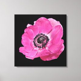 Lienzo Moderno Floral Vibrante Brillante Poppy Rosa Negro
