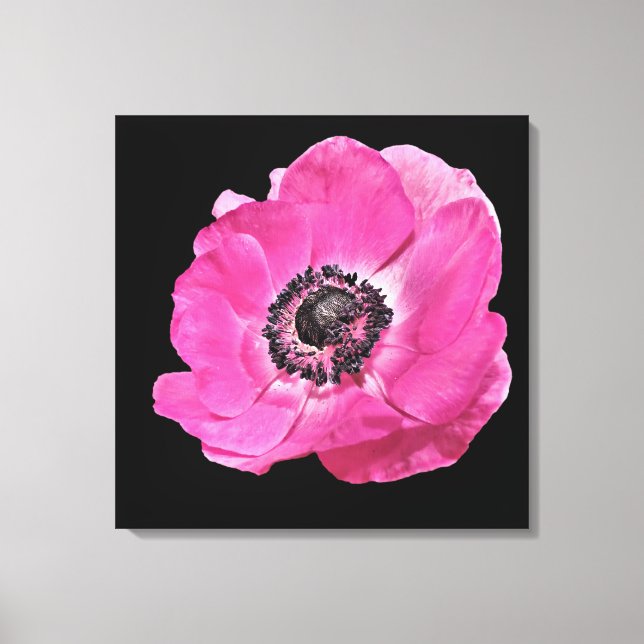 Lienzo Moderno Floral Vibrante Brillante Poppy Rosa Negro (Anverso)