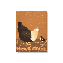 Moderno Sandy-naranja Hen & Chick Kitchen