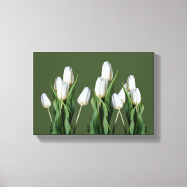 Lienzo Moderno tulipán blanco floral bello verde