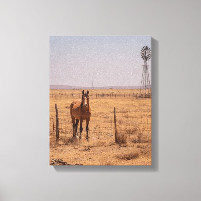 Lienzo Molino de Viento de Caballo Marrón en Pradera al A (Anverso)