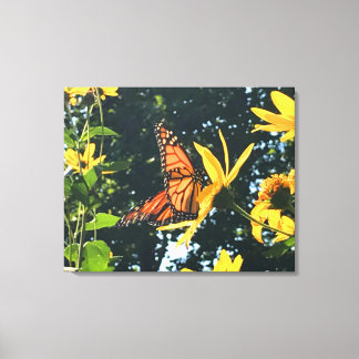 Lienzo Monarch Butterfly on Flower Photograph