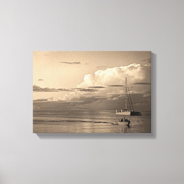 Lienzo Monkey Mia (Anverso)