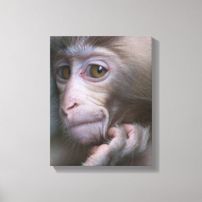 Lienzo Mono bebé (Anverso)