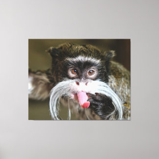Lienzo Mono del Emperador Cheeky Tamarin