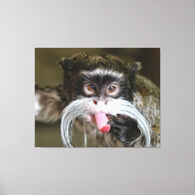 Lienzo Mono del Emperador Cheeky Tamarin (Anverso)