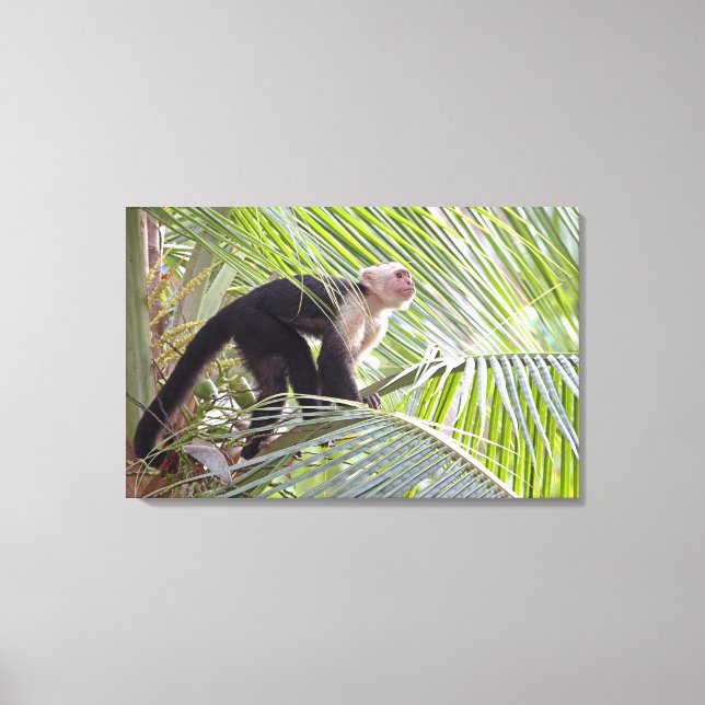 Lienzo Mono en la selva de Bambú (Anverso)
