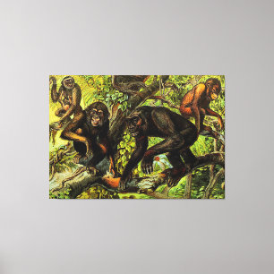 Lienzo Mono Gibón Chimpancé Gorila Animal Antiguo