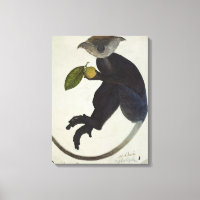 Mono negro