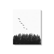 Monocromo del geo volador minimalista y del árbol 