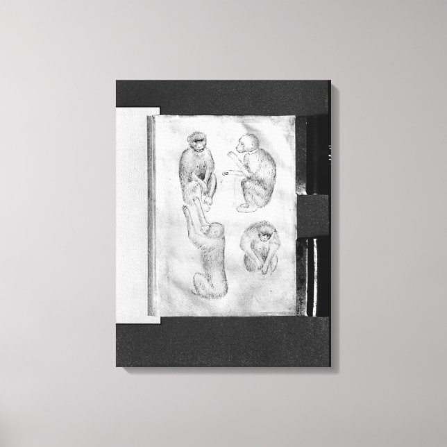 Lienzo Monos, del álbum Vallardi (Anverso)