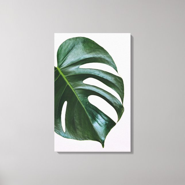 Lienzo Monstera Tropical Leaf (Anverso)