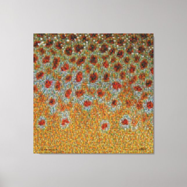 Lienzo Montaje de la piel de trucha - trucha marrón (Anverso)