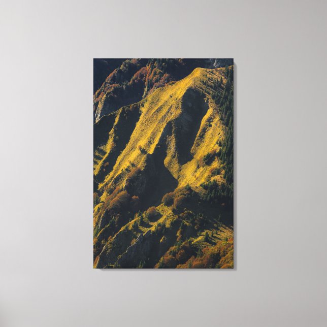 Lienzo Montaña cubierta de hierba en otoño (Anverso)
