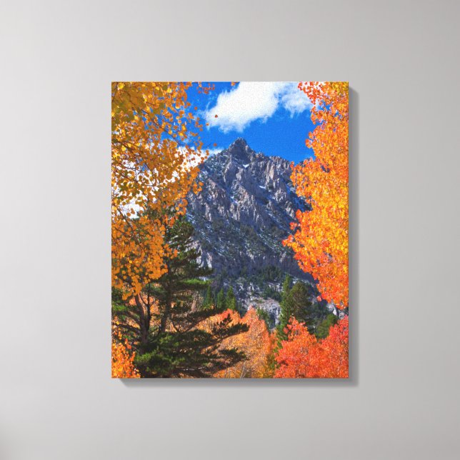 Lienzo Montaña enmarcada en follaje de otoño, CA (Anverso)