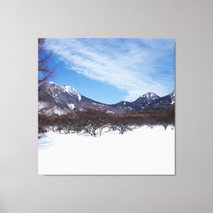 Lienzo Montañas blancas en invierno en España