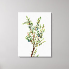 Lienzo Montañas Botánicas Sencillas