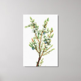 Lienzo Montañas Botánicas Sencillas