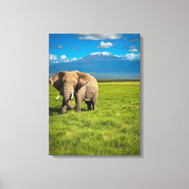 Lienzo Montañas | Monte Kilimanjaro Tanzania, África (Anverso)