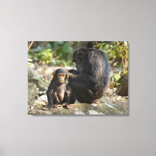 Lienzo Montañas parque nacional, Tanzania de Mahale