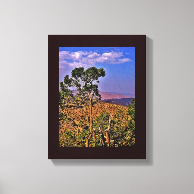 Lienzo Montañas Shafa (Anverso)