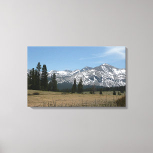 Lienzo Montañas Sierra Nevada I desde Yosemite
