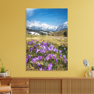 Lienzo Montañas y flores de crocus en Velika Planina, Esl