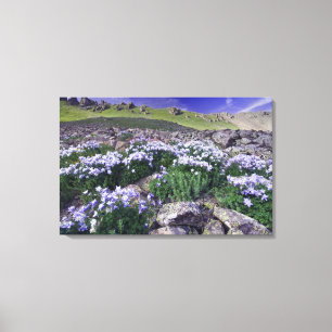 Lienzo Montañas y flores silvestres en prado alpino,