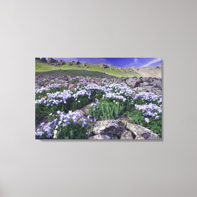Lienzo Montañas y flores silvestres en prado alpino, (Anverso)