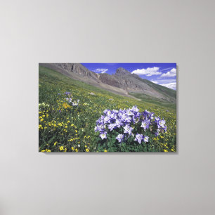 Lienzo Montañas y flores silvestres en prado alpino, Azul