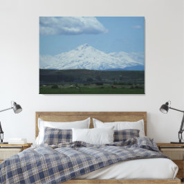 Lienzo Monte Shasta y Amigos
