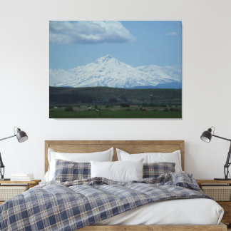 Lienzo Monte Shasta y Amigos