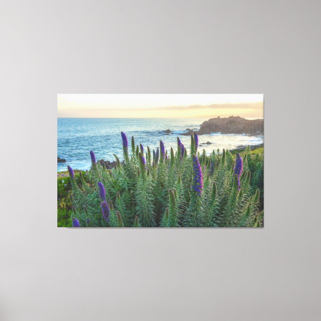 Lienzo Monterey Sunrise (Anverso)