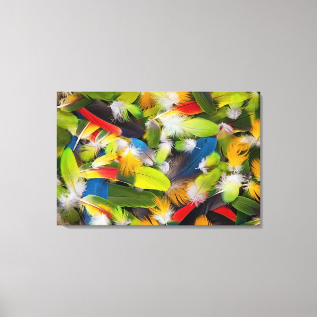 Lienzo Montón de plumas coloridas (Anverso)