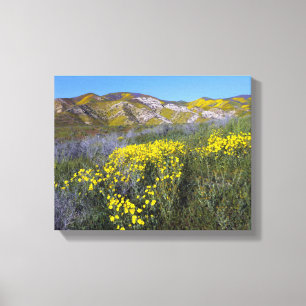 Lienzo Monumento nacional a la llanura de Carrizo