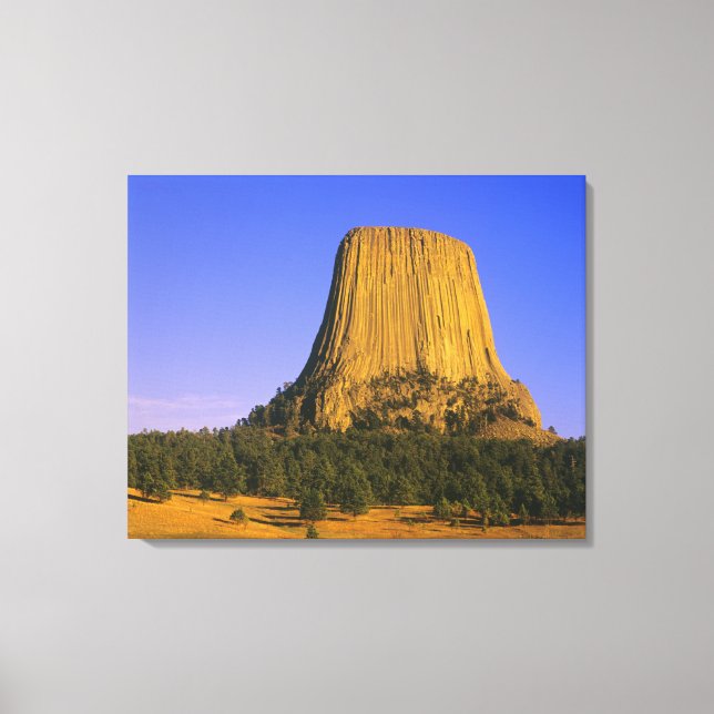 Lienzo Monumento Nacional Devils Tower en Wyoming (Anverso)