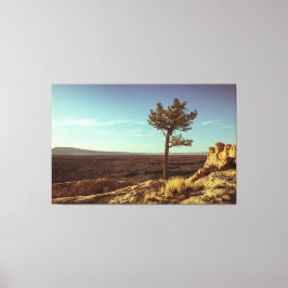 Lienzo Monumento Nacional El Malpais