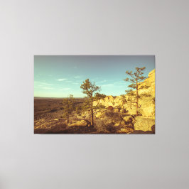 Lienzo Monumento Nacional El Malpais