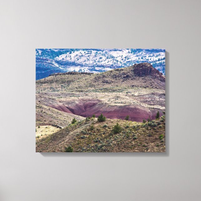 Lienzo Monumento Nacional John Day Fossil Beds, Oregón (Anverso)