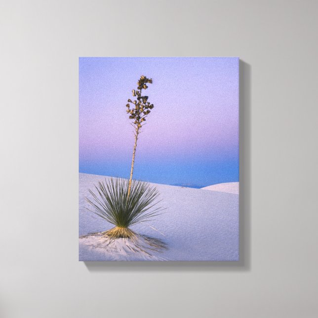 LIENZO MONUMENTO NACIONAL WHITE SANDS, NUEVO MÉXICO. (Anverso)