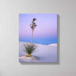LIENZO MONUMENTO NACIONAL WHITE SANDS, NUEVO MÉXICO.