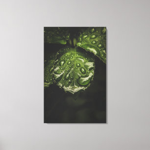 Lienzo Moody Morning Dew canvas print art