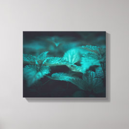 Lienzo Moody oscuro, tiñendo la foto de Nettle Nature
