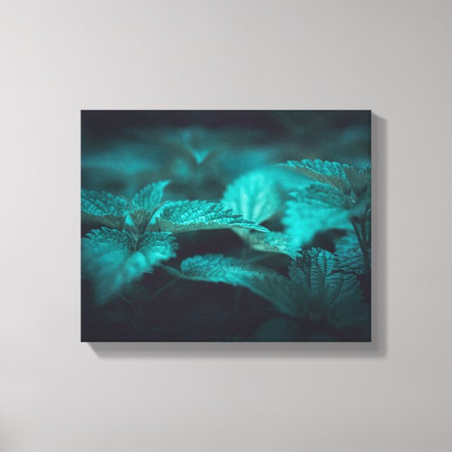 Lienzo Moody oscuro, tiñendo la foto de Nettle Nature (Anverso)