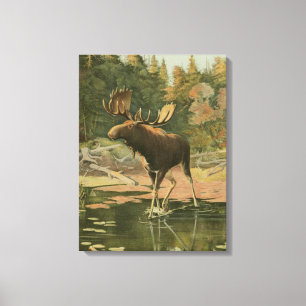 Lienzo Moose caminando en el agua
