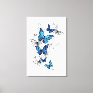 Lienzo Morfo de las mariposas voladoras azules