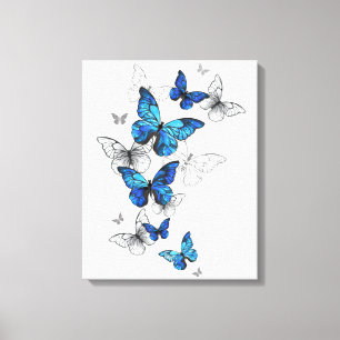 Lienzo Morfo de las mariposas voladoras azules