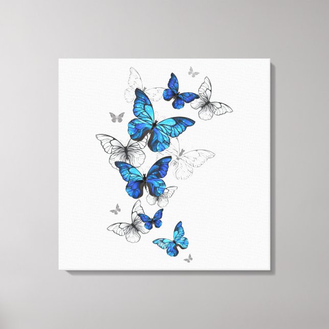 Lienzo Morfo de las mariposas voladoras azules (Anverso)