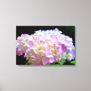 Lienzo Morning Whisper-púrpura Hydrangea