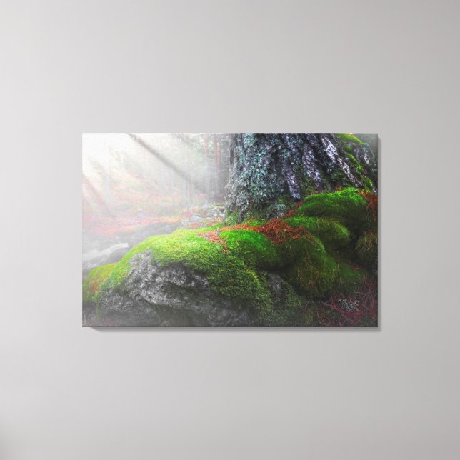 Lienzo Moss en el bosque (Anverso)